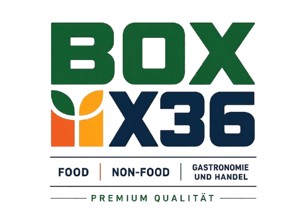 BOX-X36 GmbH Logo